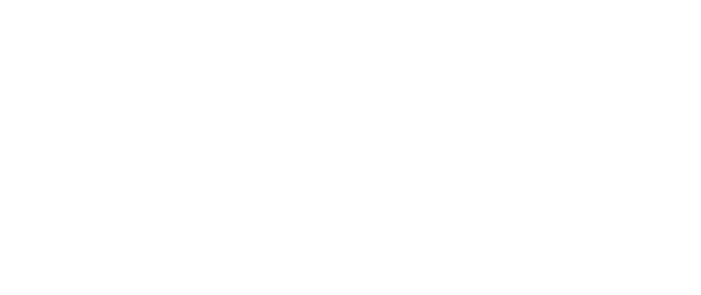 logo enbinari